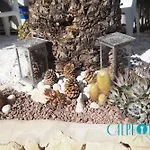 Shangrilla Con Piscina Comunitaria 度假居 卡尔佩